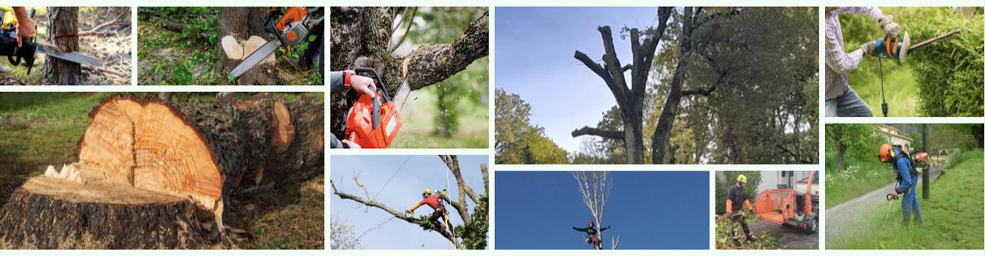 Réalisation Brion Espace Vert