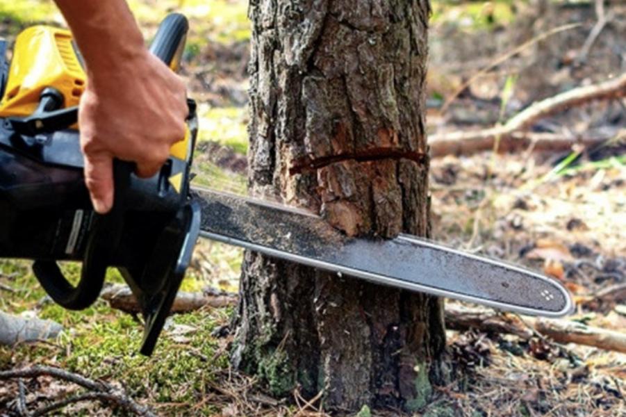 Brion Espace Vert - Elagueur 41 - elagueur 18 - Elagueur 36