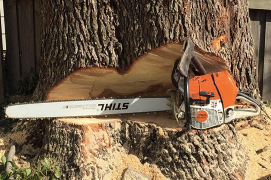 Brion Espace Vert - Elagueur 41 - elagueur 18 - Elagueur 36