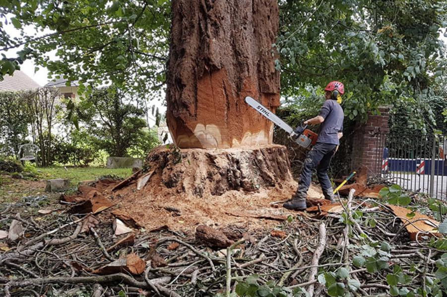 Brion Espace Vert - Elagueur 41 - elagueur 18 - Elagueur 36