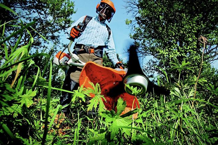 Entretien - Brion Espace Vert