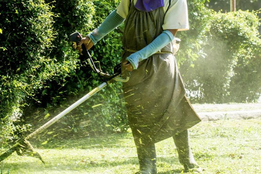 Entretien - Brion Espace Vert