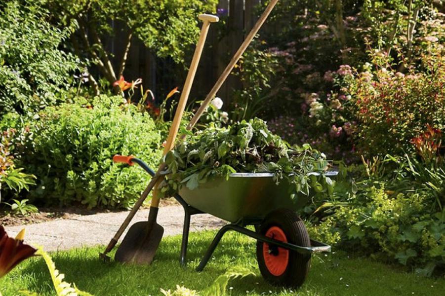 Entretien - Brion Espace Vert