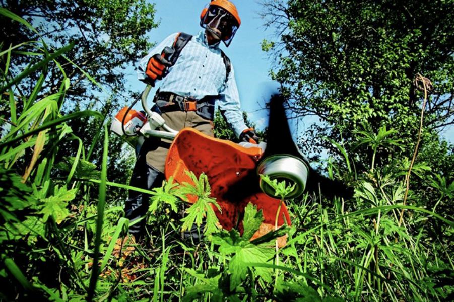 Entretien - Brion Espace Vert