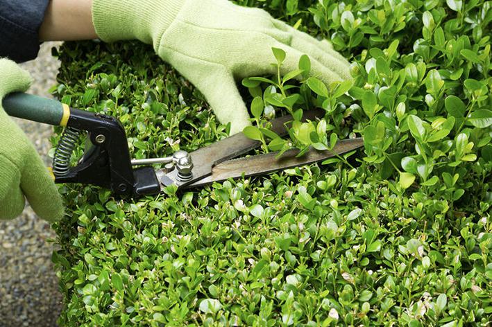 Entretien - Brion Espace Vert