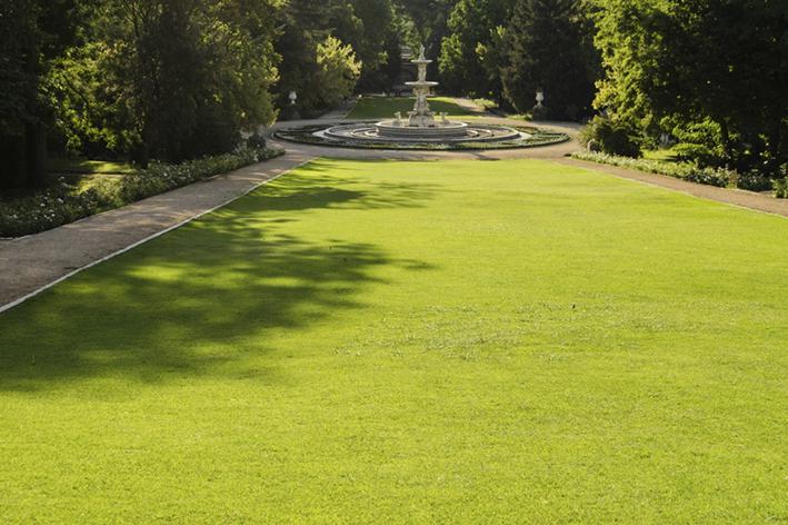 Entretien - Brion Espace Vert